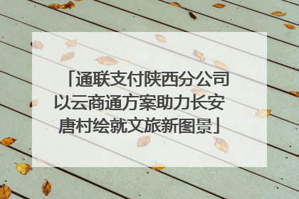 通联支付陕西分公司以云商通方案助力长安唐村绘就文旅新图景